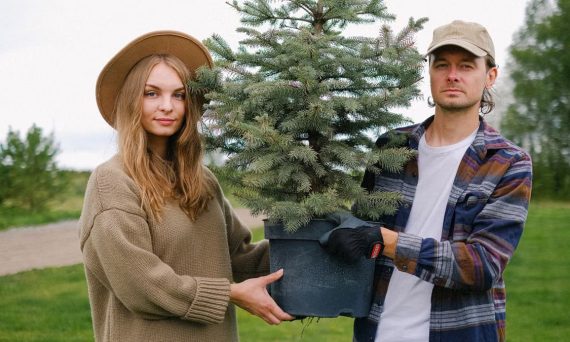 Young couple having work on farm together while carrying pot of fir tree grown in field